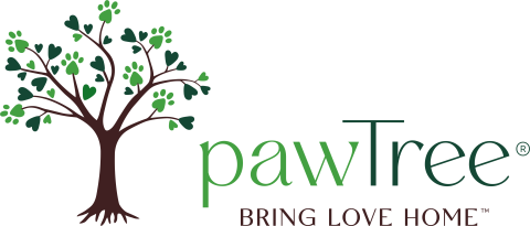 Paw Tree logo